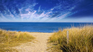 Vivid Virginia Beach Wallpaper