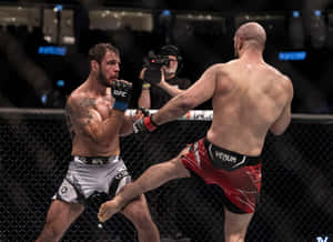 Volkan Oezdemir Kicking Nikita Krylov's Leg Wallpaper