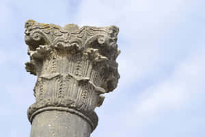 Volubilis Column Top Wallpaper