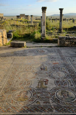 Volubilis Stone Floor Columns Wallpaper