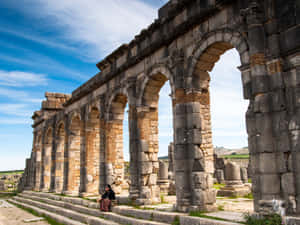 Volubilis Tourist Sitting Wallpaper