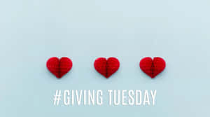 Volunteers Actively Participating In Giving Tuesday Wallpaper