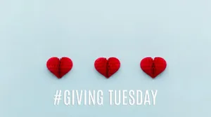 Volunteers Actively Participating In Giving Tuesday Wallpaper