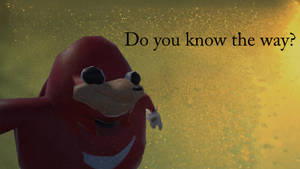 Vrchat Ugandan Knuckles Wallpaper