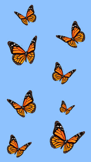 Vsco Butterfly In Blue Aesthetic Wallpaper