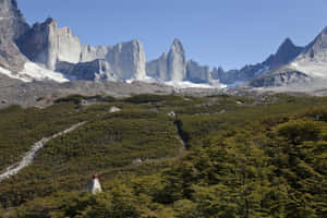 W-trek Of Torres Del Paine National Park Wallpaper