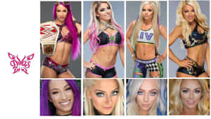 W W E Divas Collage Wallpaper