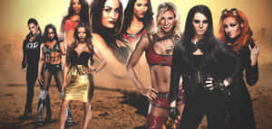 W W E Divas Showcase Wallpaper