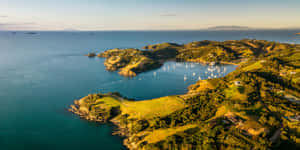 Waiheke Island Aerial View New Zealand Wallpaper