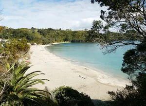 Waiheke Island Beach View Wallpaper