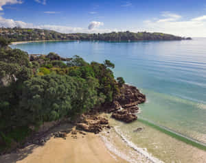 Waiheke Island Coastal Beauty Wallpaper