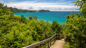 Waiheke Island Coastal Pathway Wallpaper