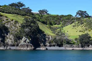 Waiheke Island Coastal View Wallpaper