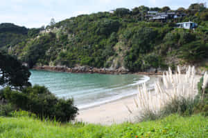 Waiheke_ Island_ Serene_ Beachfront Wallpaper