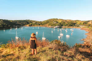 Waiheke Island Serenity Wallpaper