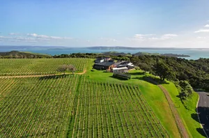Waiheke Island Vineyard Aerial View Wallpaper