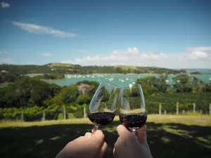 Waiheke Wine Tasting With View Wallpaper