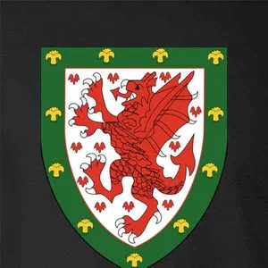 Wales National Football Team's Proud Shield Crest Wallpaper
