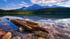 Walk Through The Beauty Of Nature Wallpaper