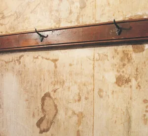 Wall With Copious Water Stains Wallpaper