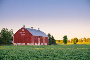 Walnut Farm With Red Painted Barn Wallpaper