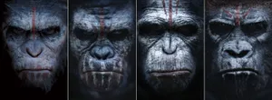 War Of The Planet Of The Apes Warriors Wallpaper