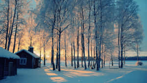 Warm And Cozy Inside With The Winterblooming Outside. Wallpaper