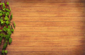 Warm Brown Wood Textures Wallpaper