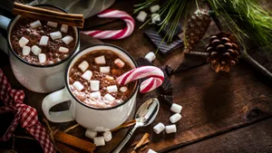 Warm Cup Of Hot Chocolate With Whipped Cream And Cocoa Powder Wallpaper