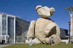 Warren Stone Bear At San Diego Wallpaper