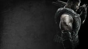 Warrior Ready Stance Wallpaper