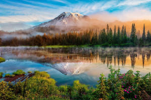 Washington Mount Rainier Spring Wallpaper