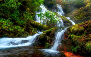 Washington Panther Creek Falls Wallpaper