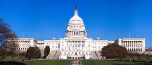 Washington Us Capitol Grounds Wallpaper