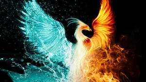 Water And Fire Wings Clash Wallpaper