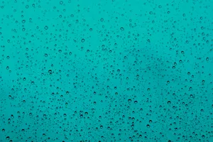 Water Droplets After Raining Wallpaper