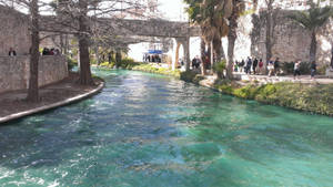 Water Of San Antonio River Walk Wallpaper