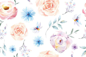 Watercolor Floral Pattern With Blue And Pink Flowers Wallpaper