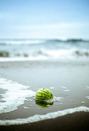 Watermelonon Beach Aesthetic Wallpaper