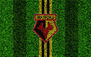 Watford Wallpaper