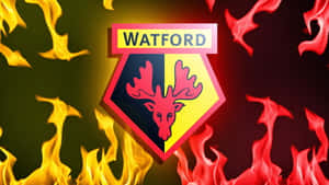 Watford Wallpaper