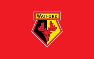 Watford Wallpaper
