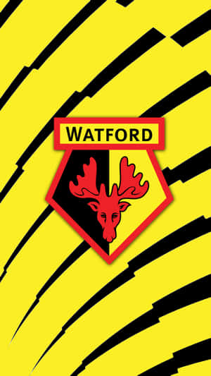 Watford Wallpaper