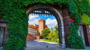 Wawel Castle Grass Entrance Wallpaper