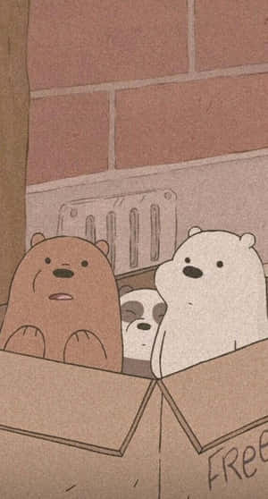 We Bare Bears In Box Wallpaper