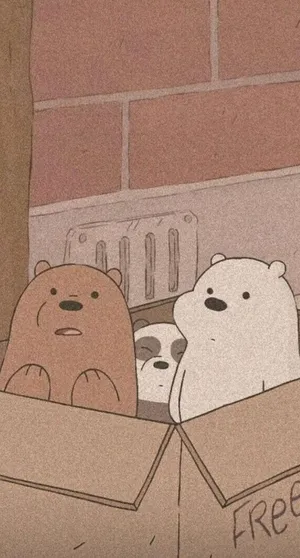 We Bare Bears In Box Wallpaper