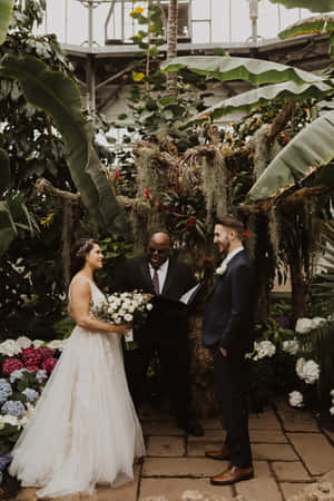 Wedding Ceremony Allan Gardens Conservatory Wallpaper