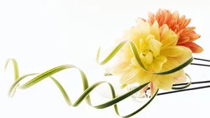 Wedding Flowers 1366 X 768 Wallpaper Wallpaper