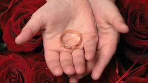 Wedding Ring In Hand Wallpaper