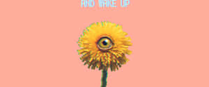 Weirdcore Dreamscape Dandelion Eye.jpg Wallpaper